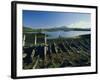 Macleods Tables, Dunvegan, Isle of Skye, Highlands Region, Scotland, UK, Europe-Peter Scholey-Framed Photographic Print