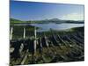 Macleods Tables, Dunvegan, Isle of Skye, Highlands Region, Scotland, UK, Europe-Peter Scholey-Mounted Photographic Print