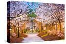 Stretched Canvas