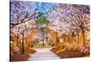 Stretched Canvas