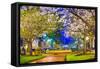 Macon, Georgia, USA Downtown with Spring Cherry Blossoms at 3Rd Street Park.-SeanPavonePhoto-Framed Stretched Canvas