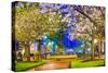 Macon, Georgia, USA Downtown with Spring Cherry Blossoms at 3Rd Street Park.-SeanPavonePhoto-Stretched Canvas