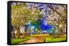 Macon, Georgia, USA Downtown with Spring Cherry Blossoms at 3Rd Street Park.-SeanPavonePhoto-Framed Stretched Canvas