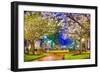 Macon, Georgia, USA Downtown with Spring Cherry Blossoms at 3Rd Street Park.-SeanPavonePhoto-Framed Photographic Print