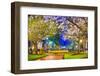 Macon, Georgia, USA Downtown with Spring Cherry Blossoms at 3Rd Street Park.-SeanPavonePhoto-Framed Photographic Print