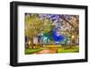 Macon, Georgia, USA Downtown with Spring Cherry Blossoms at 3Rd Street Park.-SeanPavonePhoto-Framed Photographic Print