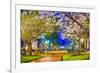 Macon, Georgia, USA Downtown with Spring Cherry Blossoms at 3Rd Street Park.-SeanPavonePhoto-Framed Photographic Print