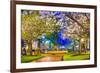 Macon, Georgia, USA Downtown with Spring Cherry Blossoms at 3Rd Street Park.-SeanPavonePhoto-Framed Photographic Print