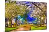 Macon, Georgia, USA Downtown with Spring Cherry Blossoms at 3Rd Street Park.-SeanPavonePhoto-Mounted Photographic Print