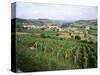 Maconnais Vineyards, Poilly Fuisse, Near Macon, Saone-Et-Loire, Burgundy, France-David Hughes-Stretched Canvas