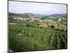 Maconnais Vineyards, Poilly Fuisse, Near Macon, Saone-Et-Loire, Burgundy, France-David Hughes-Mounted Photographic Print