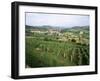 Maconnais Vineyards, Poilly Fuisse, Near Macon, Saone-Et-Loire, Burgundy, France-David Hughes-Framed Photographic Print
