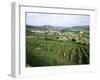 Maconnais Vineyards, Poilly Fuisse, Near Macon, Saone-Et-Loire, Burgundy, France-David Hughes-Framed Photographic Print