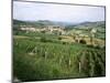 Maconnais Vineyards, Poilly Fuisse, Near Macon, Saone-Et-Loire, Burgundy, France-David Hughes-Mounted Photographic Print