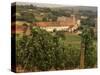 Maconnais Vineyards, Poilly Fuisse, Ozenay, Near Macon, Saone-Et-Loire, Burgundy, France-David Hughes-Stretched Canvas
