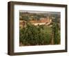 Maconnais Vineyards, Poilly Fuisse, Ozenay, Near Macon, Saone-Et-Loire, Burgundy, France-David Hughes-Framed Photographic Print