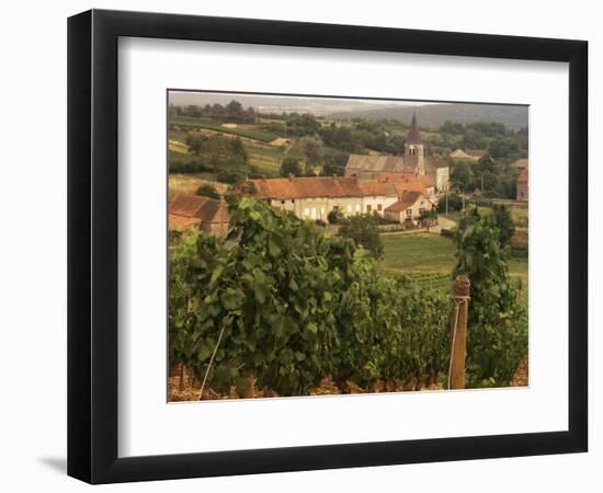 Maconnais Vineyards, Poilly Fuisse, Ozenay, Near Macon, Saone-Et-Loire, Burgundy, France-David Hughes-Framed Photographic Print