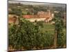 Maconnais Vineyards, Poilly Fuisse, Ozenay, Near Macon, Saone-Et-Loire, Burgundy, France-David Hughes-Mounted Photographic Print