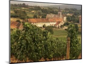 Maconnais Vineyards, Poilly Fuisse, Ozenay, Near Macon, Saone-Et-Loire, Burgundy, France-David Hughes-Mounted Photographic Print