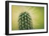 Macro Cactus-MXCLOUTI-Framed Photographic Print