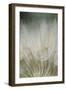 Macro Dandelion III-Renée Stramel-Framed Photographic Print