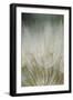 Macro Dandelion III-Renée Stramel-Framed Photographic Print