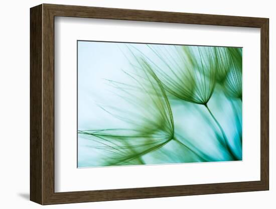 Macro Dandelion Seed-Jasmina007-Framed Photographic Print