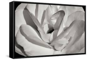 Macro Flower I-Brian Moore-Framed Stretched Canvas