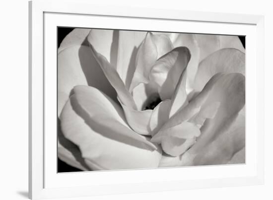 Macro Flower I-Brian Moore-Framed Photographic Print