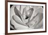 Macro Flower I-Brian Moore-Framed Photographic Print