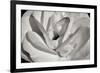 Macro Flower I-Brian Moore-Framed Photographic Print