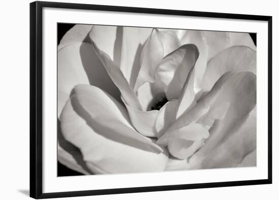 Macro Flower I-Brian Moore-Framed Photographic Print