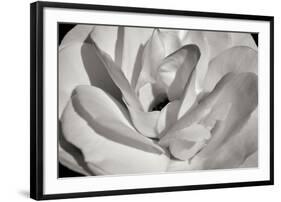 Macro Flower I-Brian Moore-Framed Photographic Print