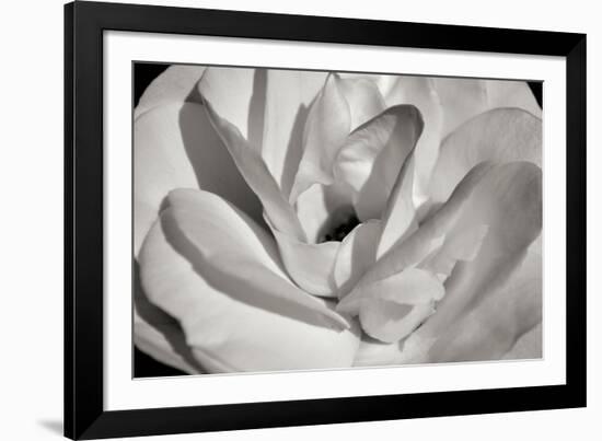 Macro Flower I-Brian Moore-Framed Photographic Print