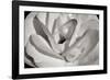 Macro Flower I-Brian Moore-Framed Photographic Print