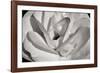 Macro Flower I-Brian Moore-Framed Photographic Print