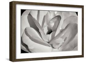 Macro Flower I-Brian Moore-Framed Photographic Print