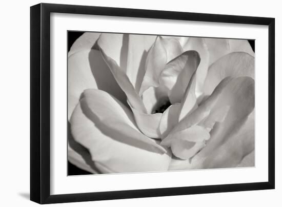 Macro Flower I-Brian Moore-Framed Photographic Print