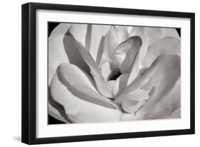 Macro Flower I-Brian Moore-Framed Photographic Print