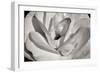 Macro Flower I-Brian Moore-Framed Photographic Print