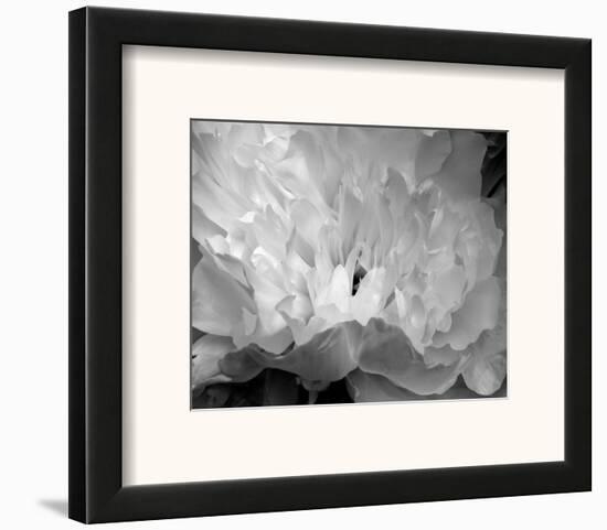 Macro Flower II-Brian Moore-Framed Art Print