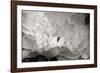 Macro Flower II-Brian Moore-Framed Premium Photographic Print