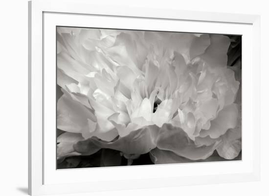 Macro Flower II-Brian Moore-Framed Photographic Print