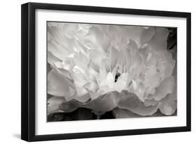 Macro Flower II-Brian Moore-Framed Photographic Print