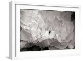 Macro Flower II-Brian Moore-Framed Photographic Print