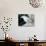Macro Lily-Jim Christensen-Photographic Print displayed on a wall