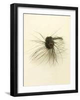 Macro Lure III-Judy Stalus-Framed Art Print