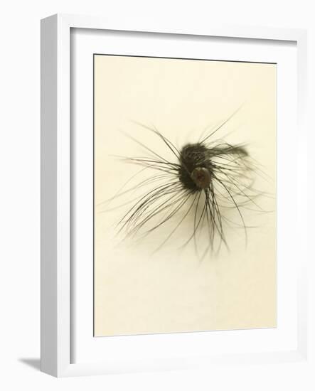 Macro Lure III-Judy Stalus-Framed Art Print