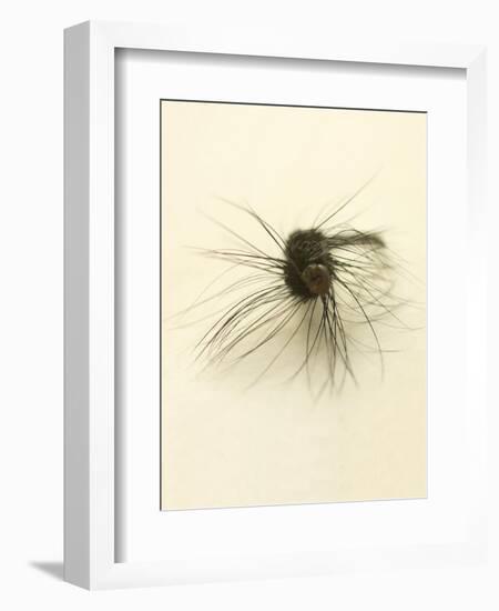 Macro Lure III-Judy Stalus-Framed Art Print