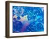Macro of Oil Drops and Pigment on Water Surface with Bright Background-Abstract Oil Work-Framed Photographic Print